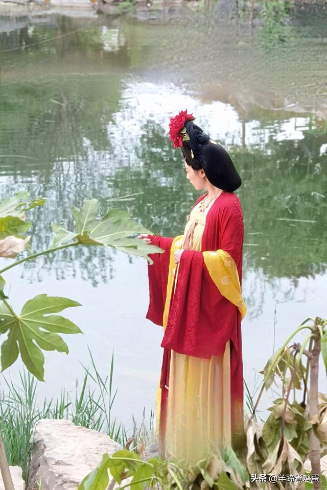 做几天洛阳人——游河南洛阳赏牡丹芬芳 总体概述（四）