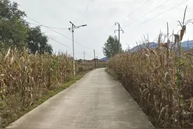 回了一趟湖南老家，对农村的几点感受图片