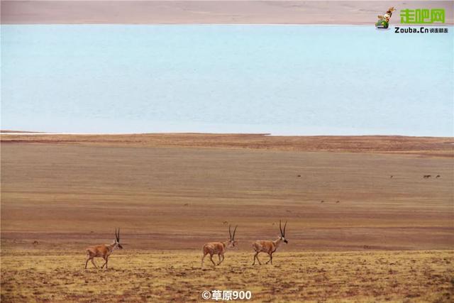 中国汽车旅行十大风云人物表彰暨届双十大路线颁奖盛典在和田举办
