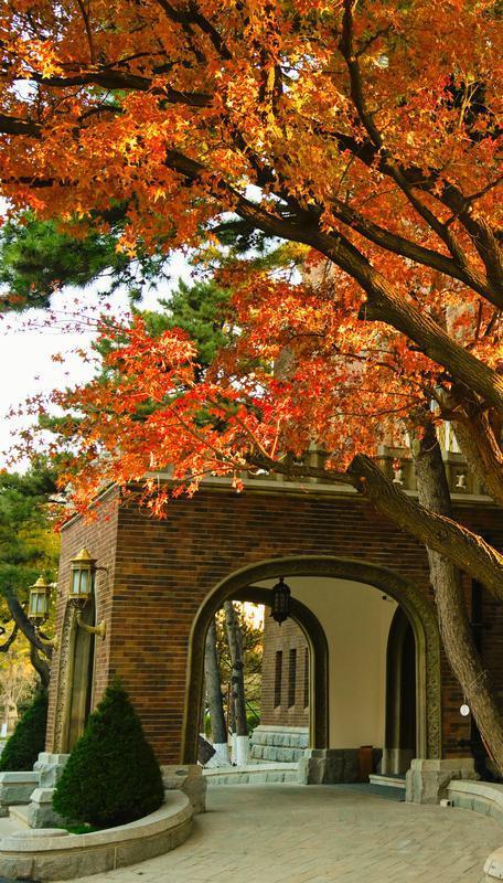 长春松苑宾馆：枫景如画醉游人