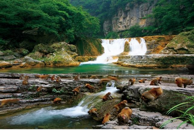 山西阳城 全域旅游跑出加速度