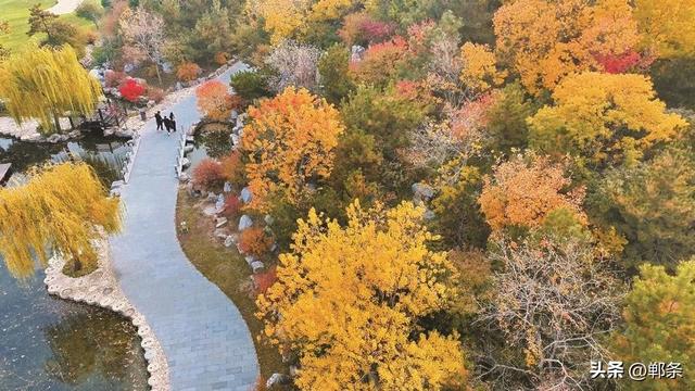 美在邯郸 | 清浅冬韵入园林