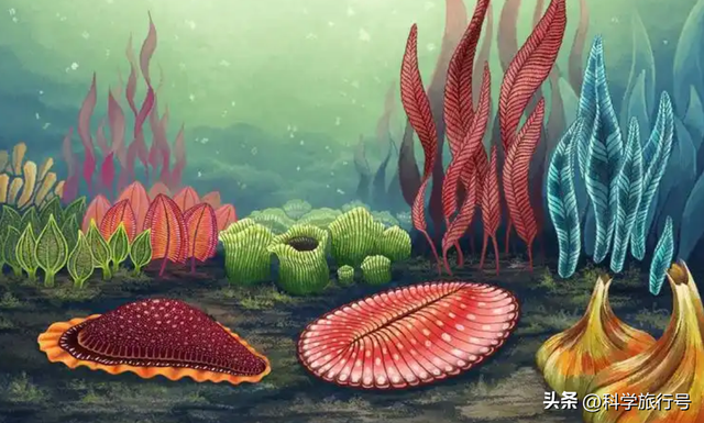 地球是个巨大的培养皿？失败品被一键清除？神秘的埃迪卡拉生物