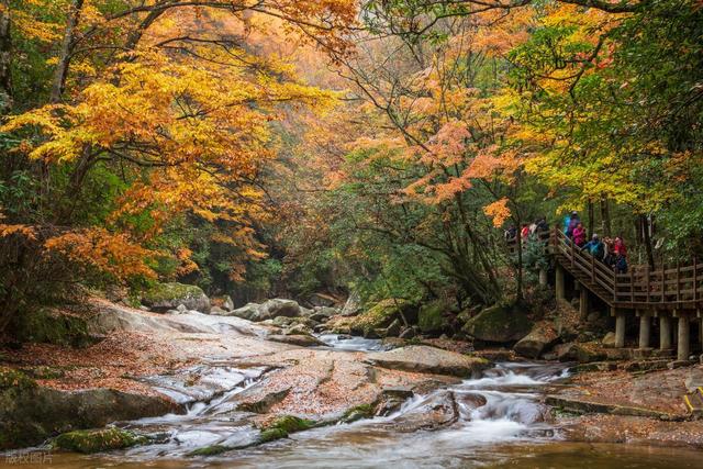 彩林观赏季，赏秋绝佳时，10月-12月适合去看的7处彩色山林