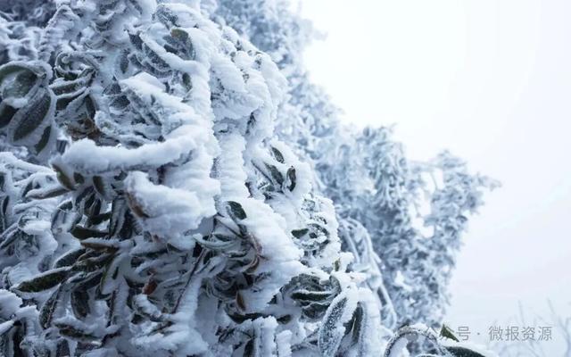 资源县：寒凝琼枝引客来 雾凇盛宴醉游人