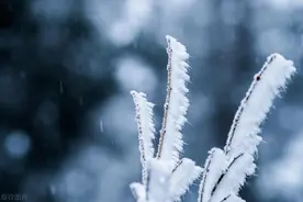 最低-36℃！上班首日嘎嘎冷，未来三天雪纷飞！图片