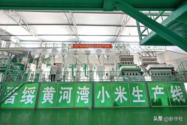 砥柱中流领航复兴——中国人民抗日战争暨世界反法西斯战争胜利80周年纪念活动启示录（六）
