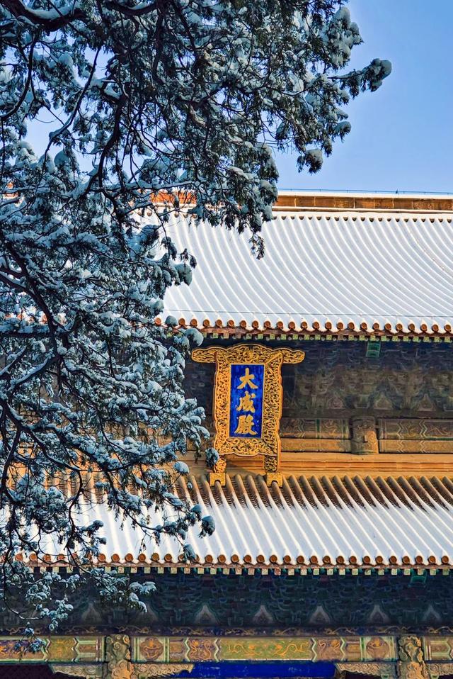 用四时好景打开曲阜三孔景区，留存每一帧中式浪漫！