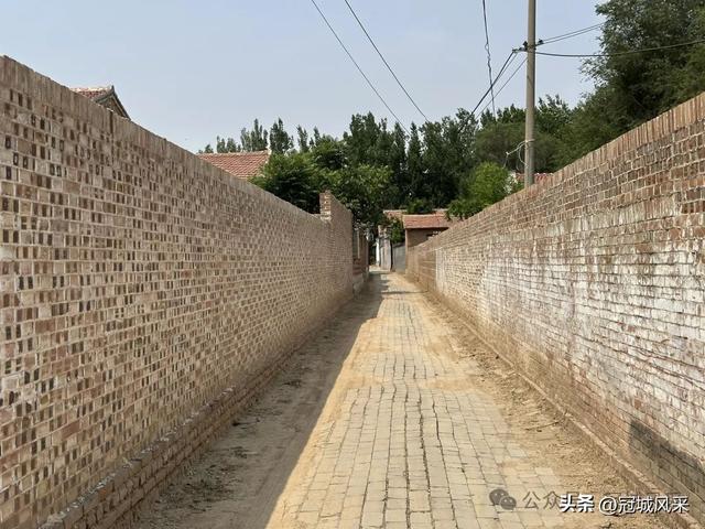 冠县乡韵·柳林镇三里屯村