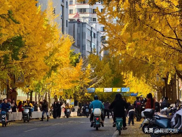 为赛事加“氛”！免票！折扣！超大波“滇超”昆明福利来袭！