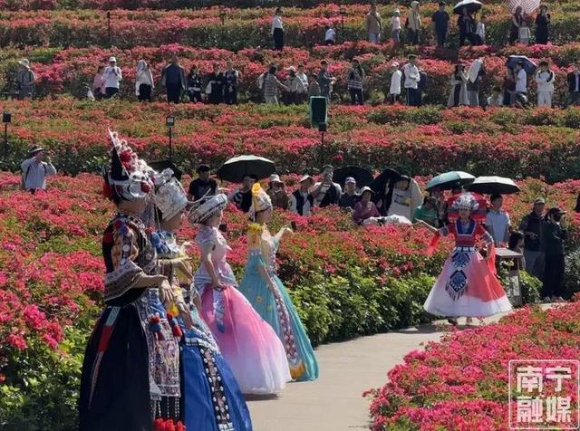 冬季赏花，青秀山和你浪漫相约