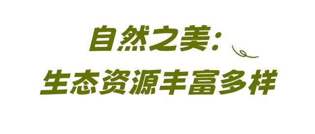 4小时直达!坐上高铁游通化,解锁多样玩法!