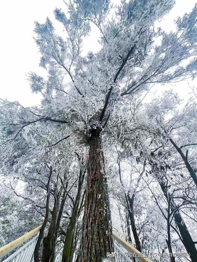草川子下雪雪雪啦！九鼎山的雪景真的不可错过~