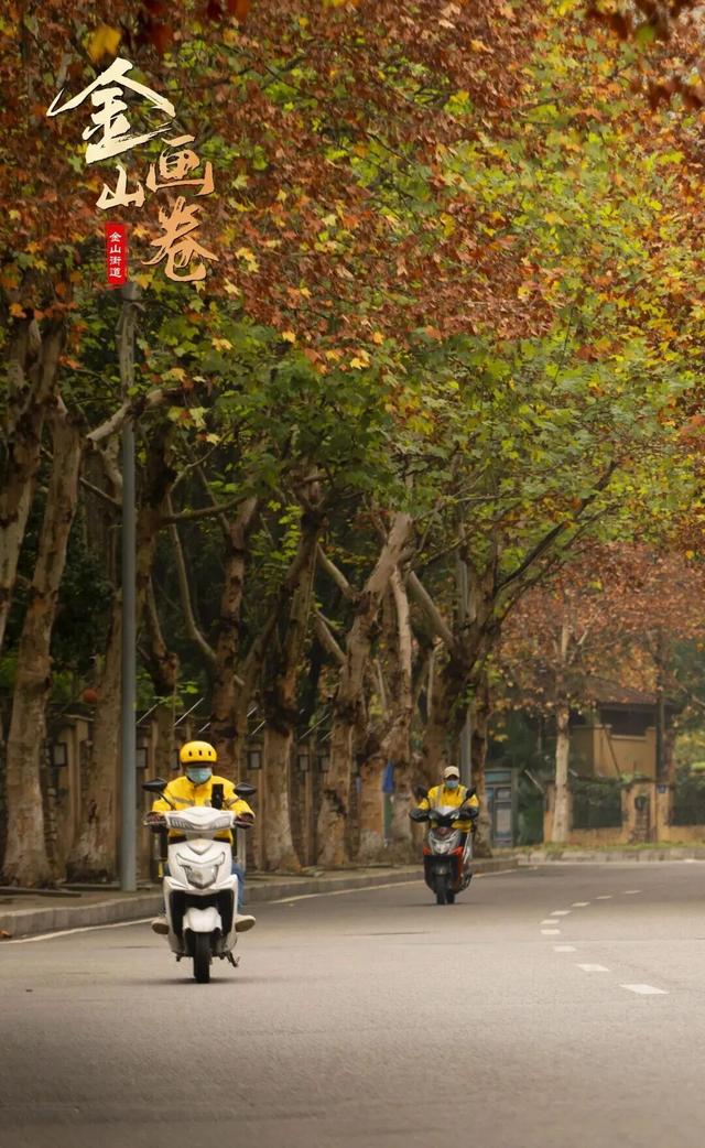 轨道直达！重庆“顶流”梧桐大道已经美到next level了！