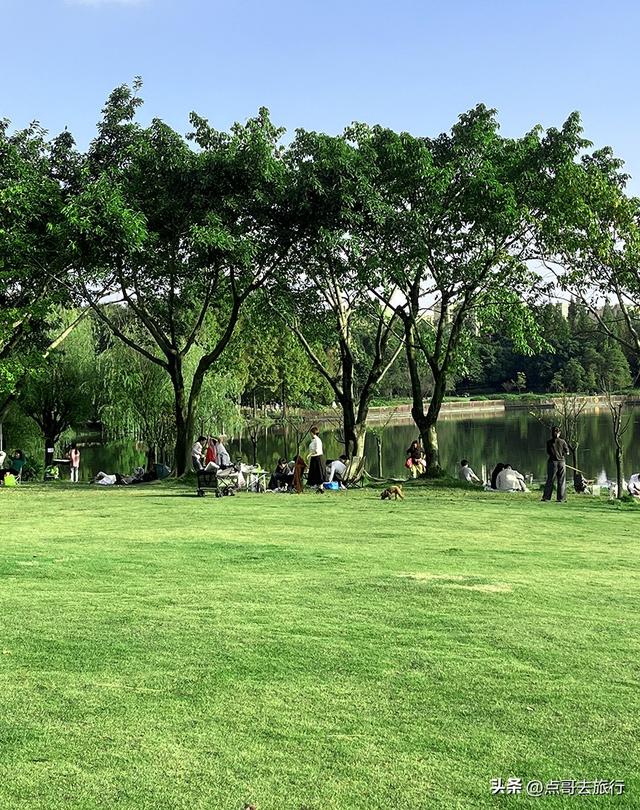 成都最美拍照公园，城市中的草原牧场，不要门票，地铁公交直达！