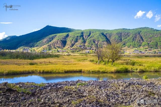泸沽湖草海差点把我看吐了,到处是油画般的场景,能不能别这么美