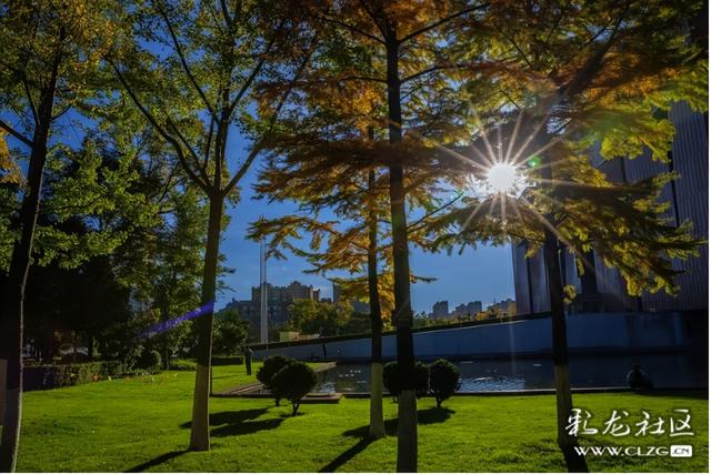 冬日秋韵醉昆明