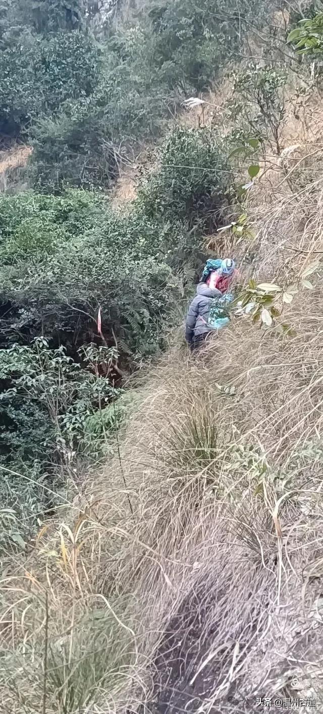 环浙步道上的小众穿越秘境,这条充满挑战的徒步环线你可去过?