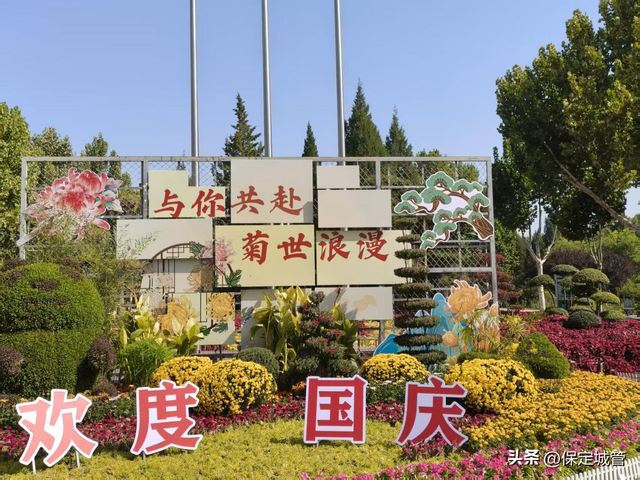 保定：古城秋色染菊韵 双节人游画中园—— 花海书潮引客近80万人次