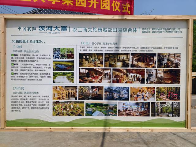 我在茨河有块儿田，种出都市人的田园梦