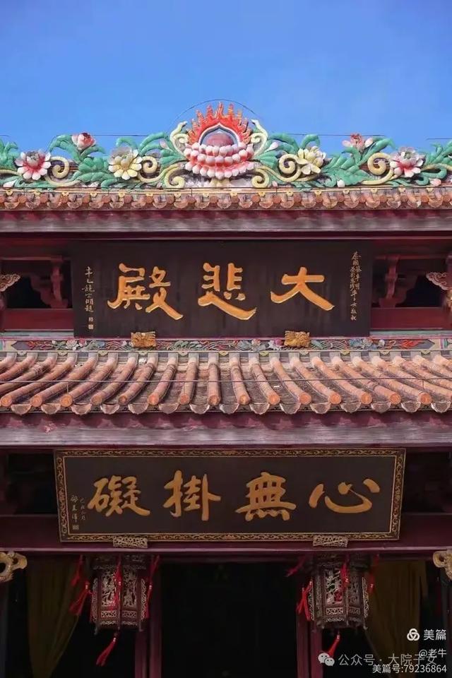 老牛｜我看到的潮洲景色