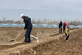 灵台：建好高标准农田 筑牢粮食安全根基图片