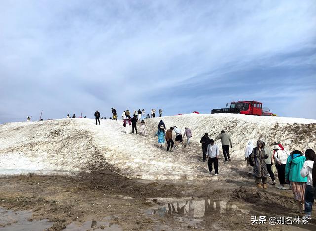 花145元自驾新疆赛里木湖，值吗？附环湖自驾攻略及游玩重点（5）