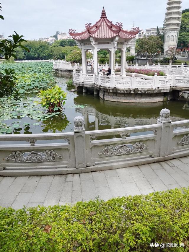 我来夏门去南普通寺卸却“班味”装着“禅意”回烟火人间