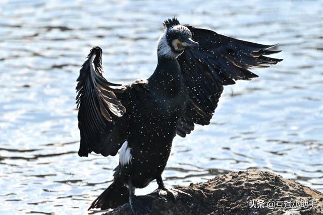 尼康Z卡口超远摄变焦镜头——NIKKOR Z 100-400mm f/4.5-5.6 VR S 评测