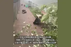 破解“野猴伤人”，不是非此即彼的选择题图片