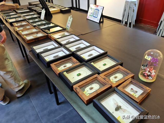 到保定旅游，其他地方可以不去，但这个景点必须要来参观