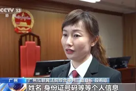 “人脸识别”诈骗嫌犯落网，揭秘造假牟利过程图片