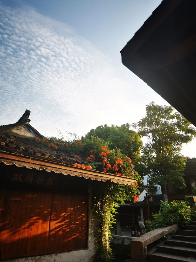 可当天往返！上海坐至苏州，最快30分钟直达！景美又好玩！