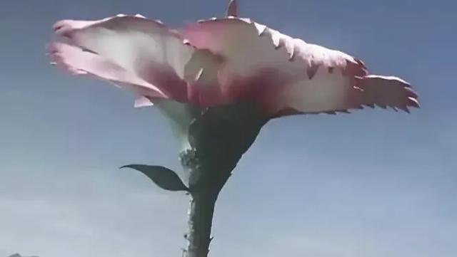 初代奥特曼佐菲和新奥特曼利匹亚佐菲