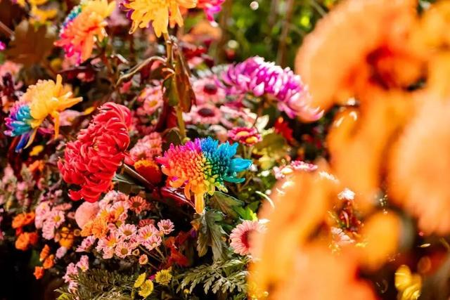 2026年来开封，这份时间表请收好！