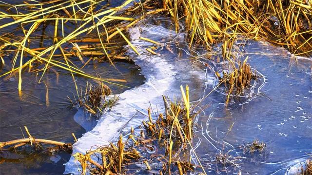 这样的哈尔滨，你见过吗？