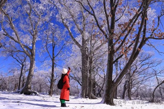 告别金秋，邂逅龙湾初冬！赏雪、观雾凇攻略，这两处景区别错过~