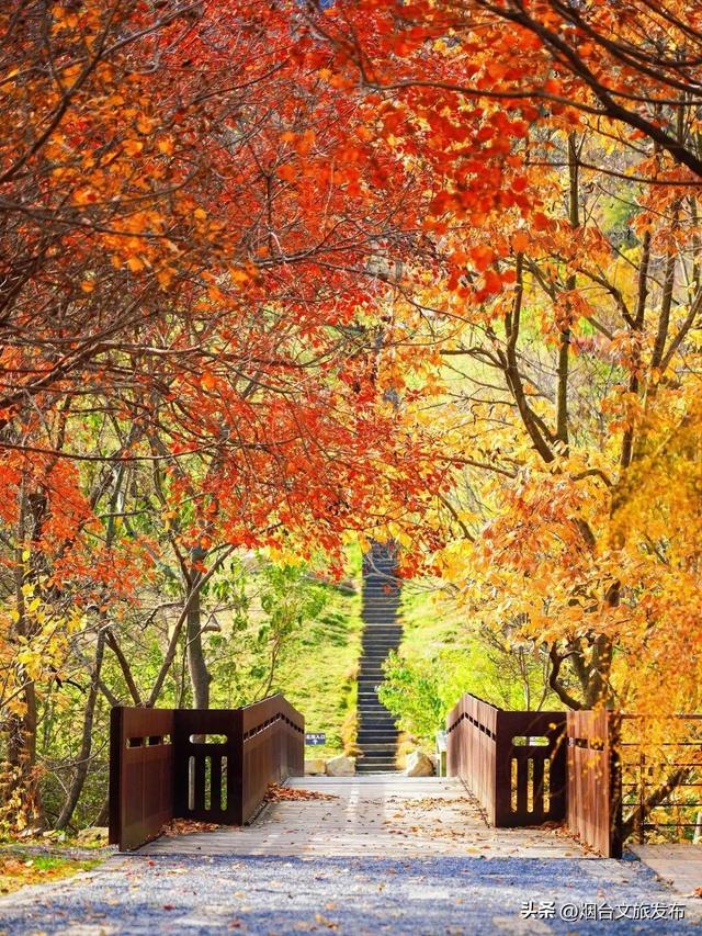 【乐游烟台】烟台绝美赏秋地即将封山，别错过