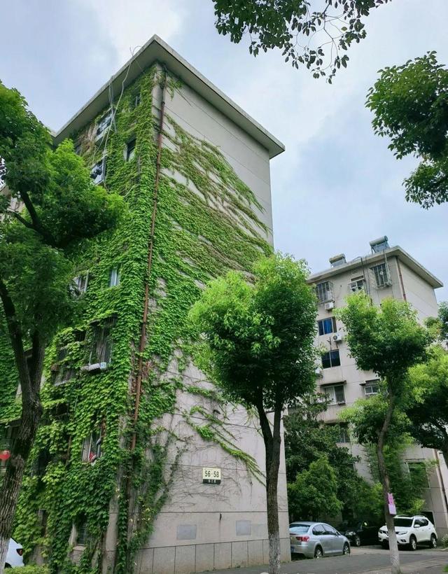 拆迁全面叫停？满24年房龄的老小区，一律按新规处理！业主迎利好