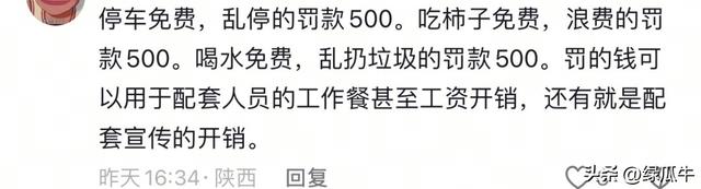 陕西彬州柿子火出圈，啥啥都免费，结果网友们不乐意了