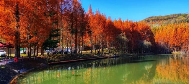 杉 杉 来 了 🤗🧣🧡