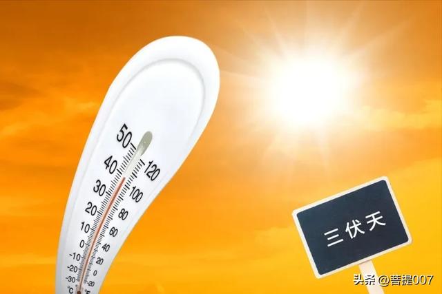 明日入伏，今年三伏天不一般！1个好消息，2个坏消息，3个要注意