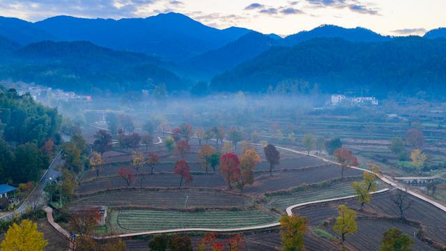 大别山中徐凤冲