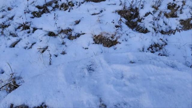 雪落板桥！解锁一碗水冬日秘境