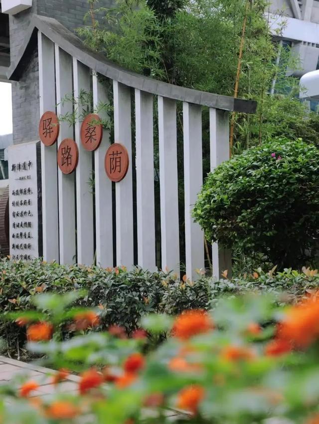 新津⇌双流，跟着地铁游双城→