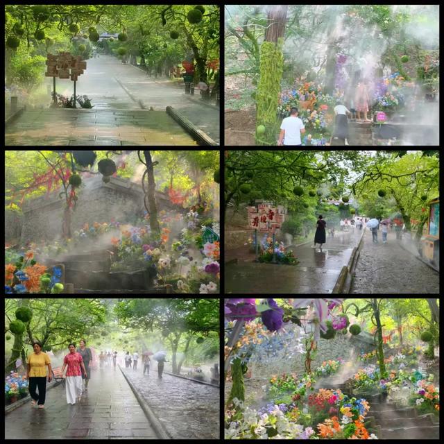 雨洗青檀，仙境初现！这场限定美景，只为你邂逅！