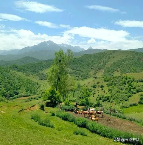 相逢在临夏草长沟的风里