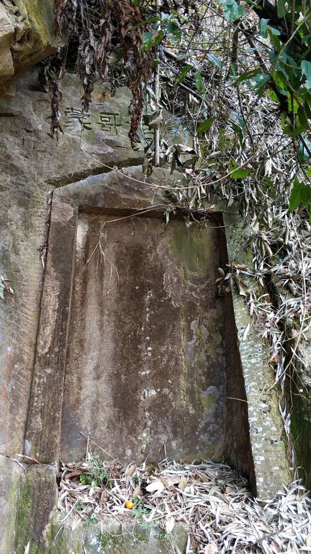 重庆荒效野岭发现大量石碑，碑身高大雕工精美，每块都有百年历史