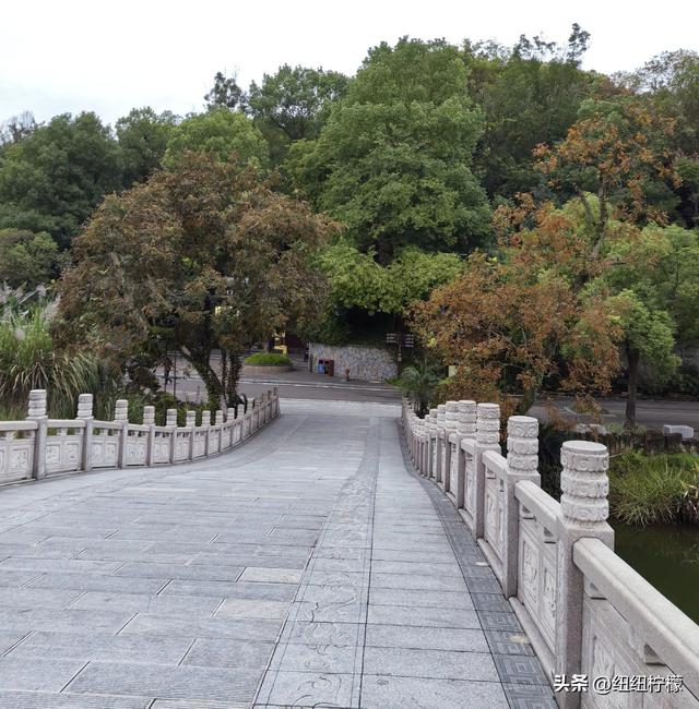 桂香袭来，在秀湖公园闻花香，读一读杜甫的诗，在亲水步道走一走