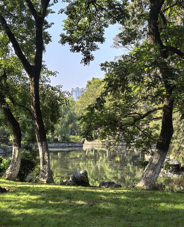 我是北京人，去了趟合肥逛了三景点，憋了3个疑问不吐不快。